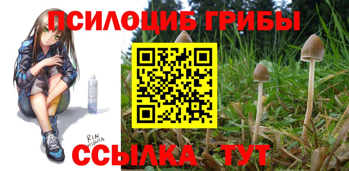 Галлюциногенные грибы GOLDEN TEACHER Кудымкар
