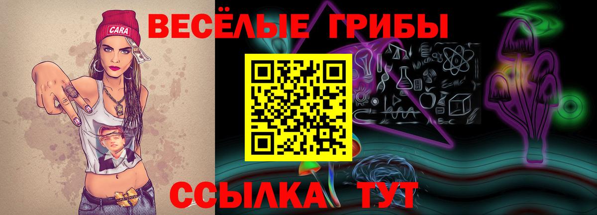 Псилоцибиновые грибы MAGIC MUSHROOMS  Вход с VPN  купить закладку  Кудымкар 